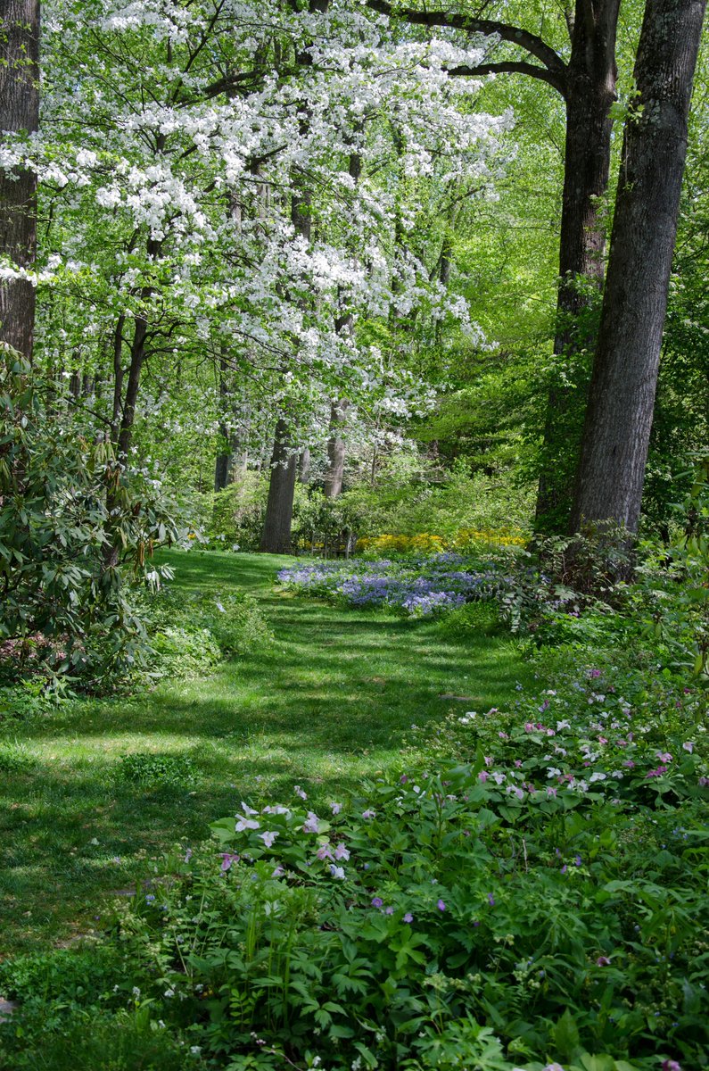 Excited for release of new #DougTallamy book, 'Nature's Best Hope A New Approach to Conservation That Starts in Your Yard.' Timberland Press tells us it's full of serious How To. Photo ©Doug Tallamy shows how pathway protects plantings, works in yards big&small! #nativeplants