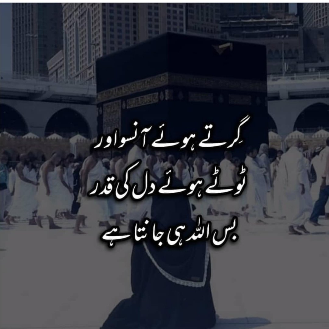 MaheRamadan's tweet photo. https://t.co/nCRorgkKdz
