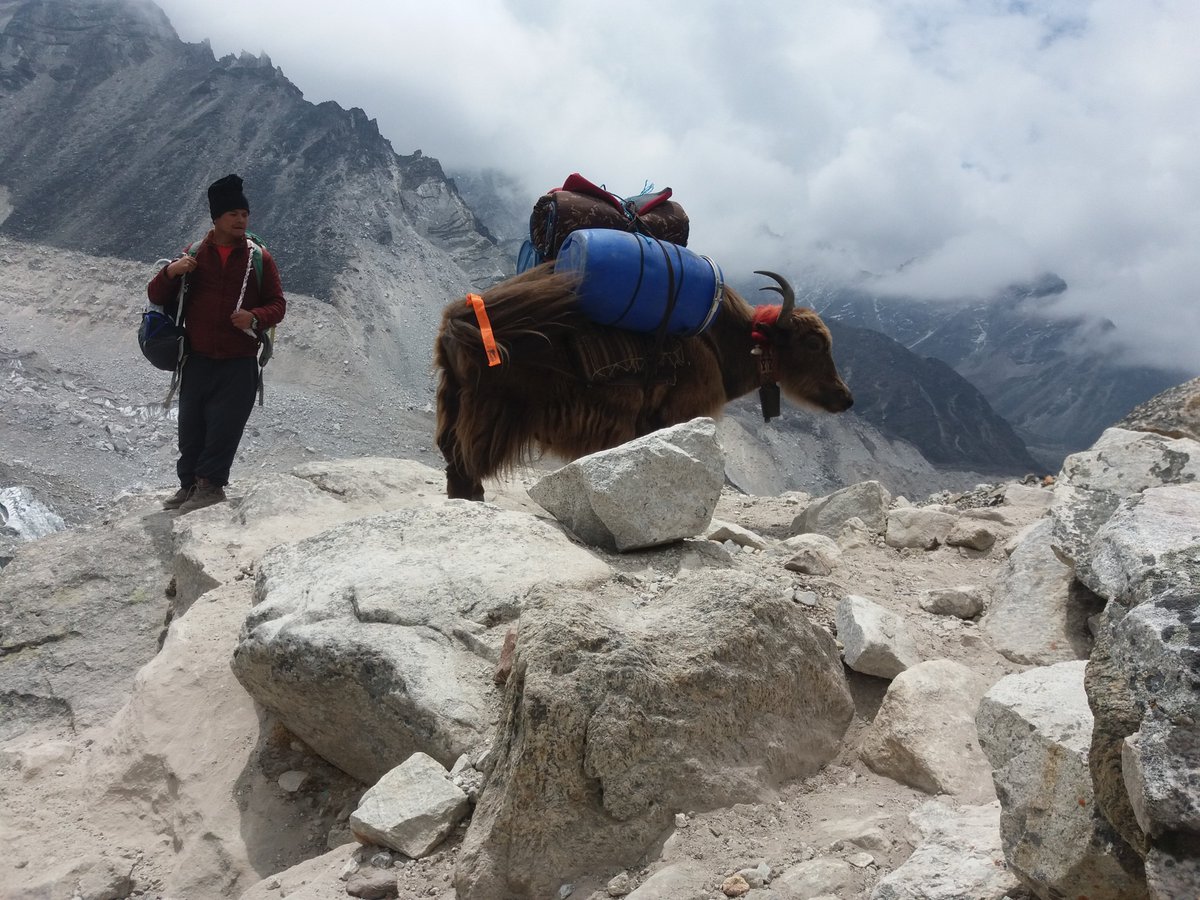 EverTreks's tweet image. If you have not enough bought for full package trip, you can just hire a Guide or Porter for your budget trip. we have lot of experience Guide, Porter-guide and porter. #Porterhire #Guidehire #Porterguidehire #trekking #Nepal #Budgettrek #budgettravel highpassadventure.com/guide-porter-g…