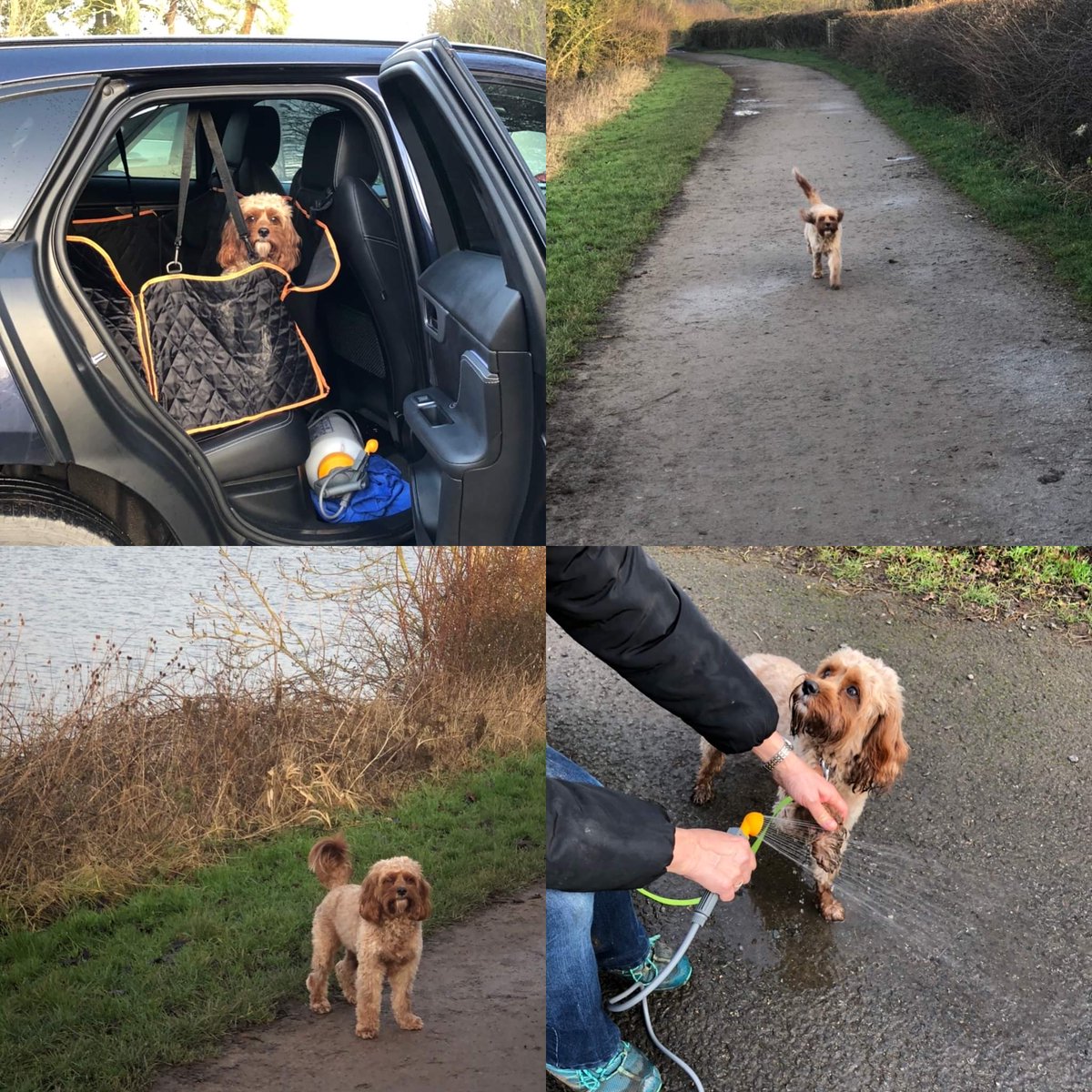 HelenTranter2's tweet photo. @barwellacademy A lovely family walk this morning around Thornton Resevoir.#journeytowellness https://t.co/lIQZBSi0J1