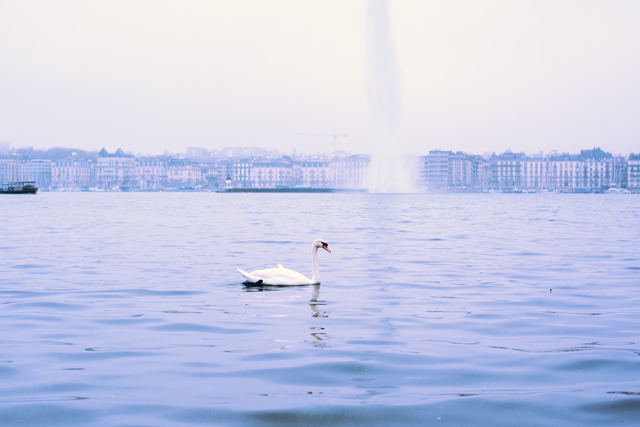 とにー レマン湖周辺と巨大噴水 ジュネーヴ