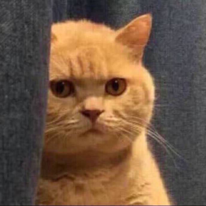 강민희 모에화봇 (@_cute_mini) on Twitter photo 