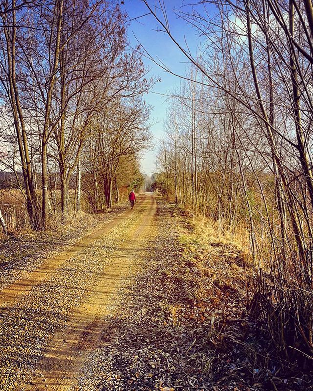 beow00lf's tweet photo. Niedziela 🌤️
#przedsiebie #sundayinthecity #weroampoland #jaworzno https://t.co/4QgCsl4wTn https://t.co/kbUNmjEQyu