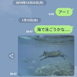 元カノにLINEをブロックされたので？虚空にチャットする!