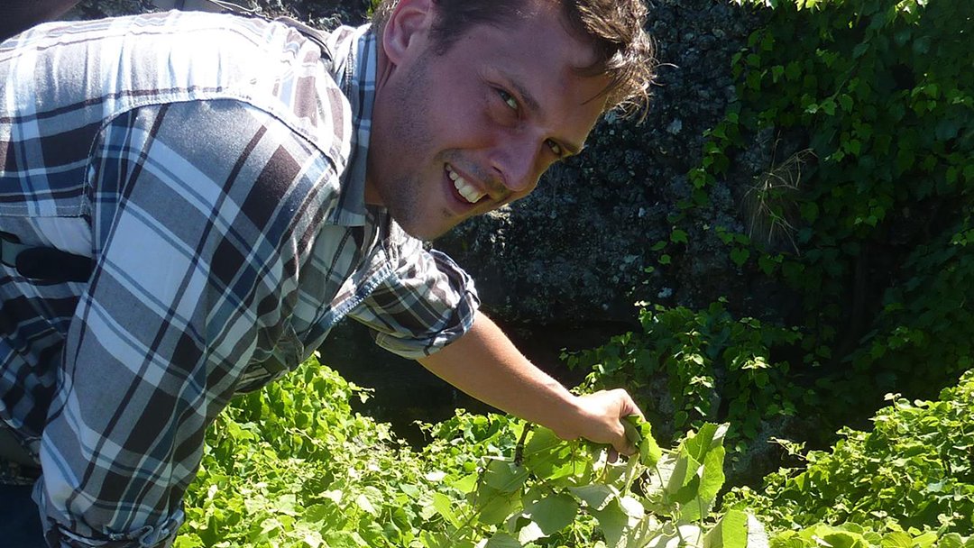 simplesvinho's tweet image. simplesmente.... Joe Swick 🍷

 #simplesmentevinho #swickwines #artisanwine #simplesmentevinho2020