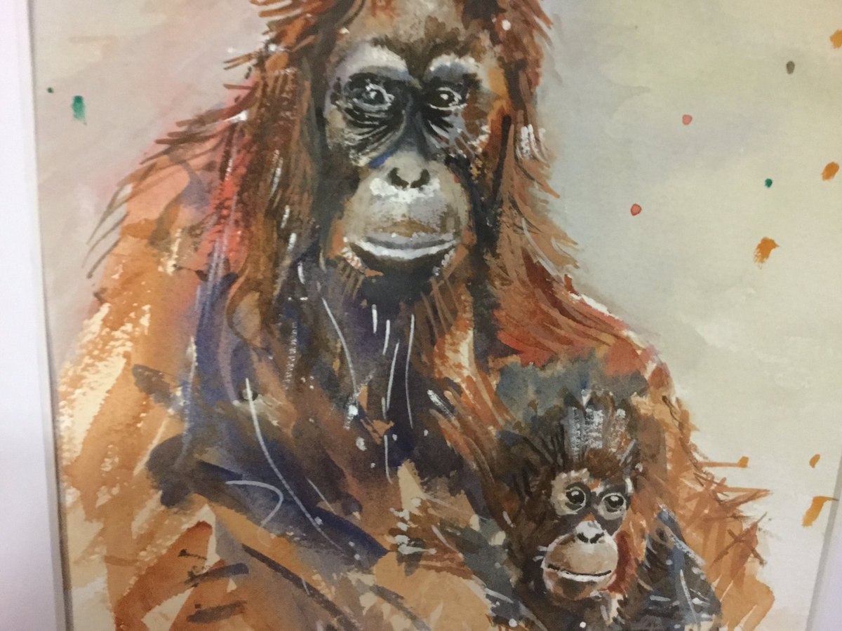 Wednesday 29th January is a general workshop at the art club. Bring along something that you are working on or just come along and find out what we do. All are welcome