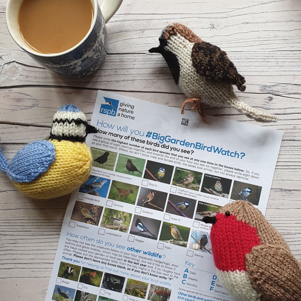 It’s the #BigGardenBirdWatch this weekend. So take an hour out of your time to sit down with a nice cup of tea &amp; slice of cake, relax and count the birds in your garden! Tweet us with pictures of the birds you see. <a href="/Natures_Voice/">RSPB</a>