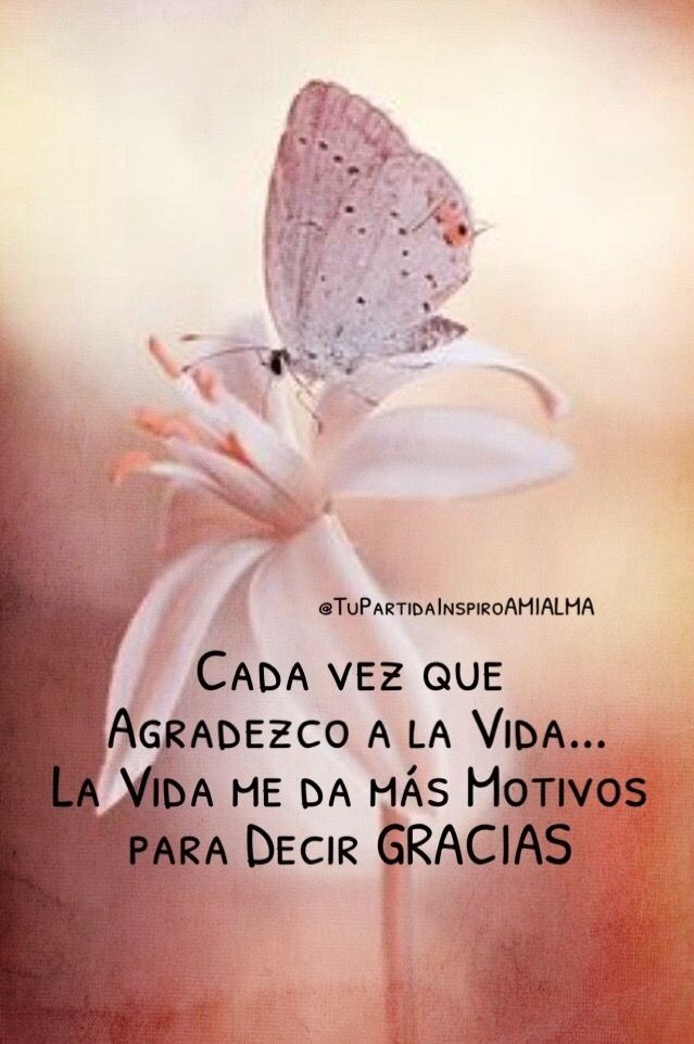 Pensamiento Positivo tweet media