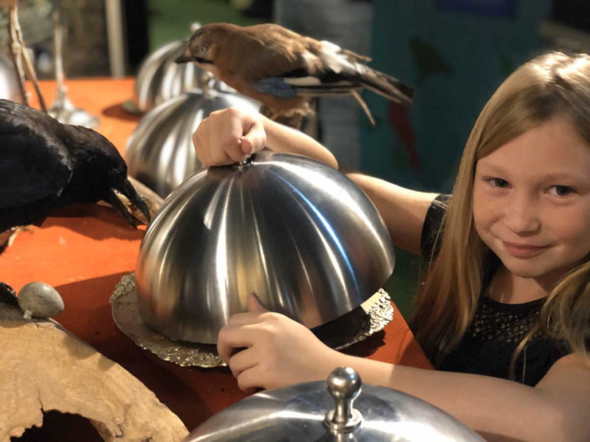 #Tuinvogeltelling tel je thuis of doe je mee in het museum? Kan je gelijk daarna de verborgen vogeltuin in om meer over de vogels te ontdekken. Wat eten ze? Waarom is een groene tuin zo belangrijk en nog veel meer.