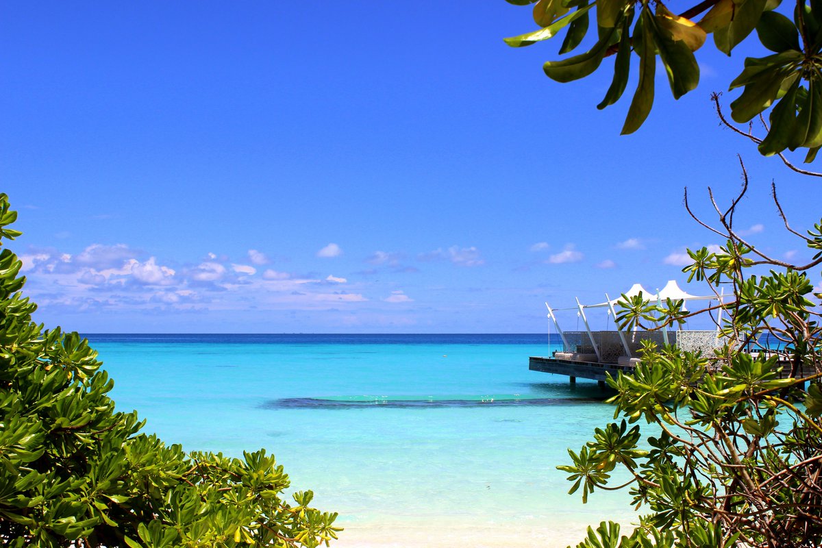 Niva Kuramathi Maldives tweet media