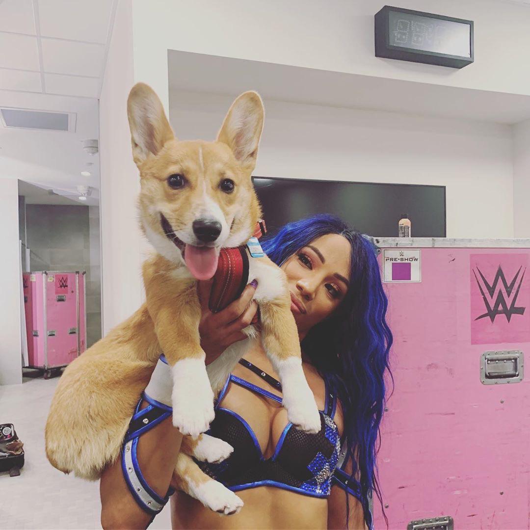 TheLegitDeadly's tweet photo. Wishing @SashaBanksWWE a happy birthday

Your present should be winning the #RoyalRumble and collecting that bonus check

Stay happy, healthy, and grounded.  Both in your personal and professional life.  Do it for you, always

We love you, Mercedes

#LegitBossDay #LegitBlueprint https://t.co/46kKNkkOig