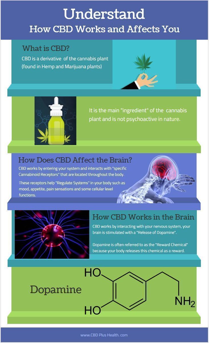 CBDPlusHealth's tweet photo. How CBD Works and Affects Your Brain https://t.co/yHoEZvRFOC #infographic #CBD #CBDShop #CBDstore #hemp #HempHeals #hempoil #cannabidiol #Health #Fitness #Wellness #KansasCity #KCCBD #KC #Lenexa https://t.co/S1vMIde3a0