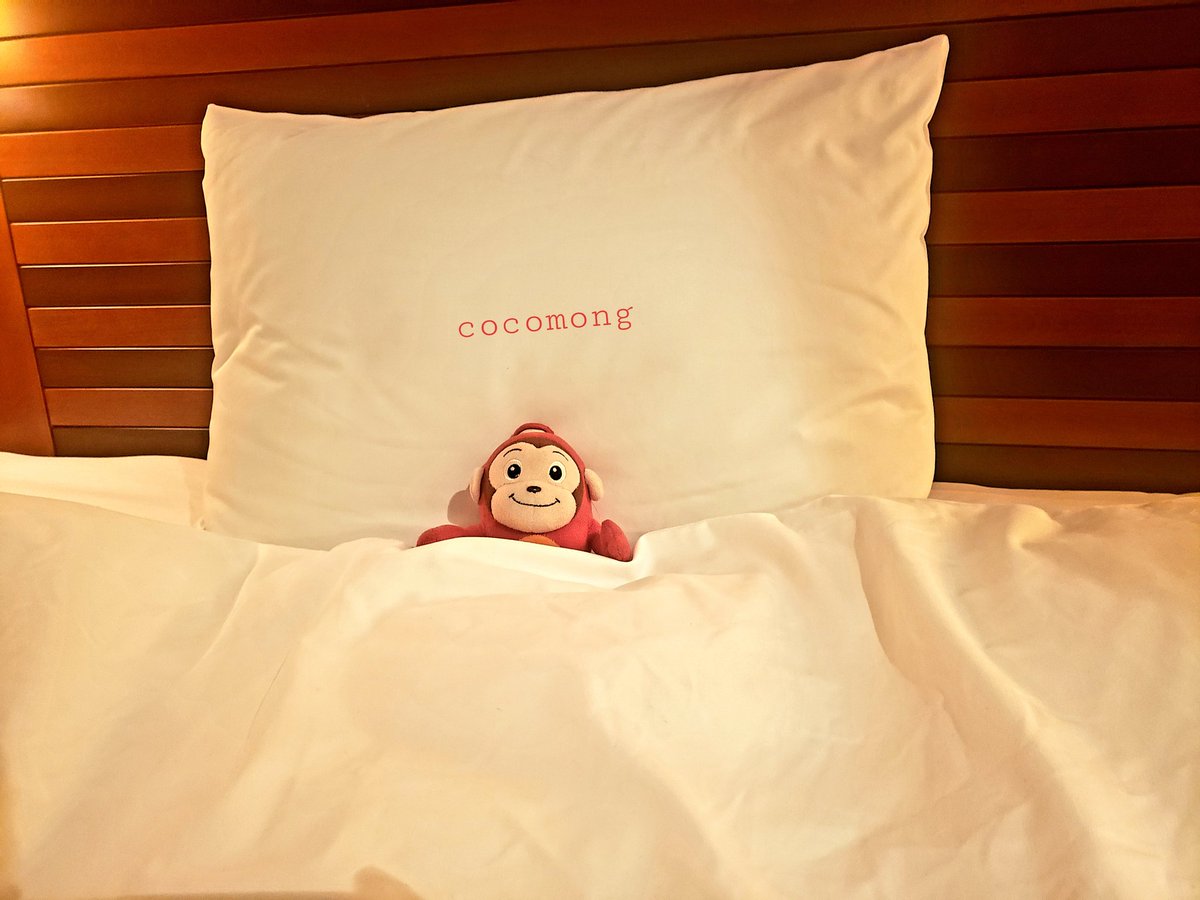 cocomong_JP's tweet photo. もうお休み終わっちゃうね
早く寝なくっちゃー
でも、ねむくないんだ、、、
#ココモン　#cocomong https://t.co/2Jkc784CgG