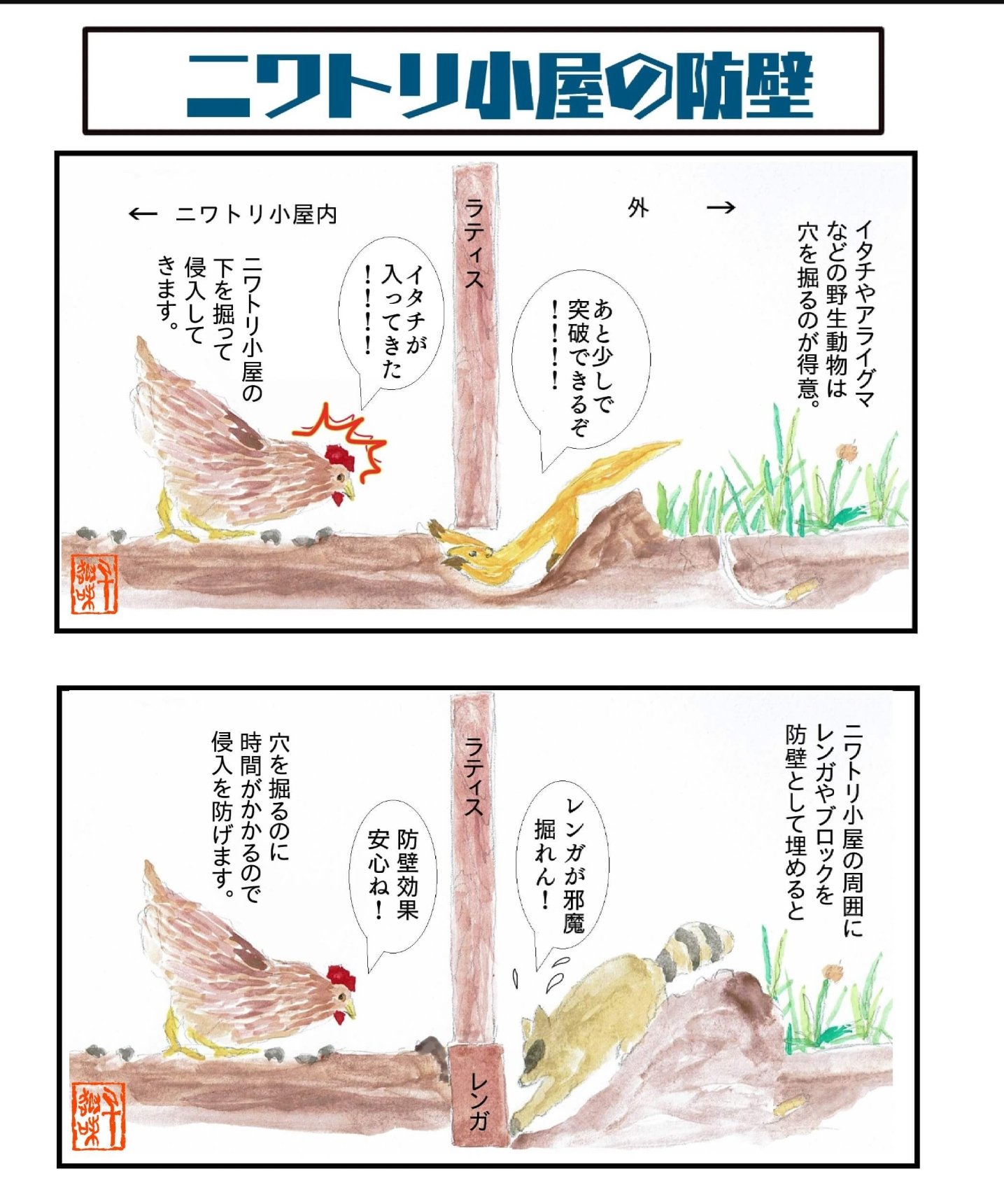 Twitter 上的 趣味千編集部 ニワトリは簡単に飼育できる上 おいしい卵を提供してくれる ありがたい家禽 ペットとしてもかわいいです 飼育で肝心なのは 野生動物の侵入を防ぐこと レンガやブロックを埋め 防壁でガードしましょう 記事はウェブサイト 趣味千