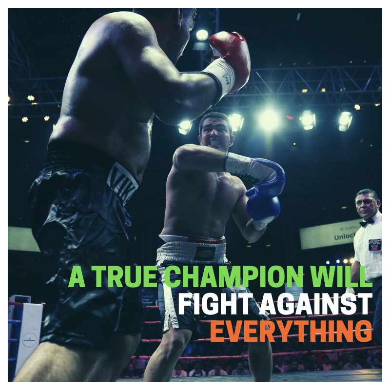 MegaBoxingIN's tweet photo. Happy Republic Day!! #Boxing #RepublicDay #BigGame #TheContender https://t.co/4zFz7ndngJ