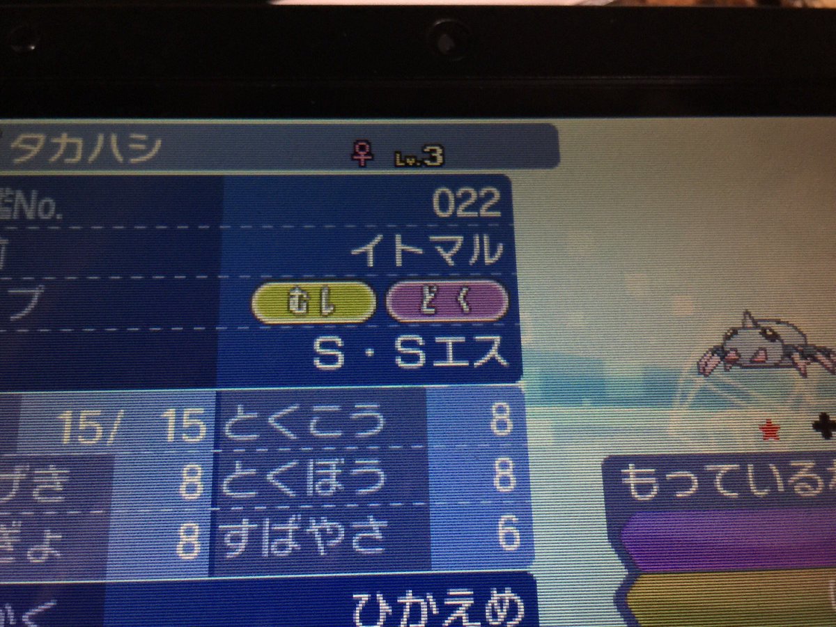 吉岡 椿稀 ポケモンusum イトマル色違い連鎖 129匹目遭遇しましたー おつかれ ゲームボーイちっくな色や