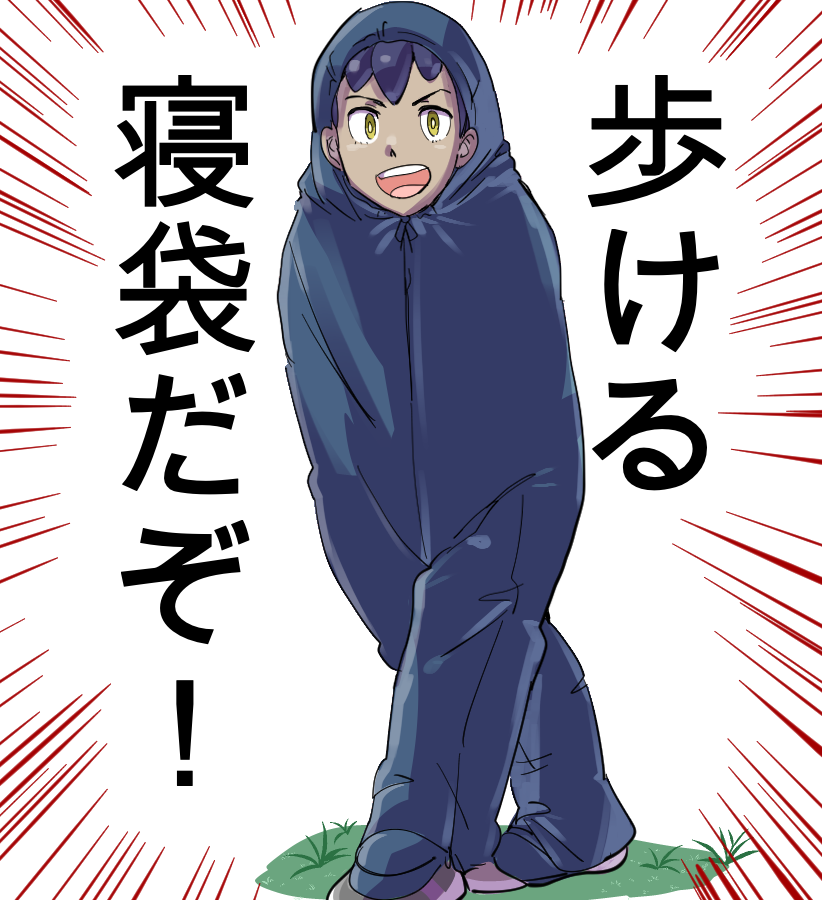 剣盾楽しい 