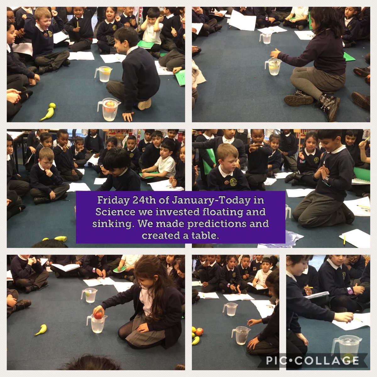 BCPS2G's tweet photo. In Science we have been carrying out a variety of investigations.On Friday we looked at which fruits/vegetables will float/sink? There was some surprising results @BCPSDeputy https://t.co/uIsnHE6Y0z