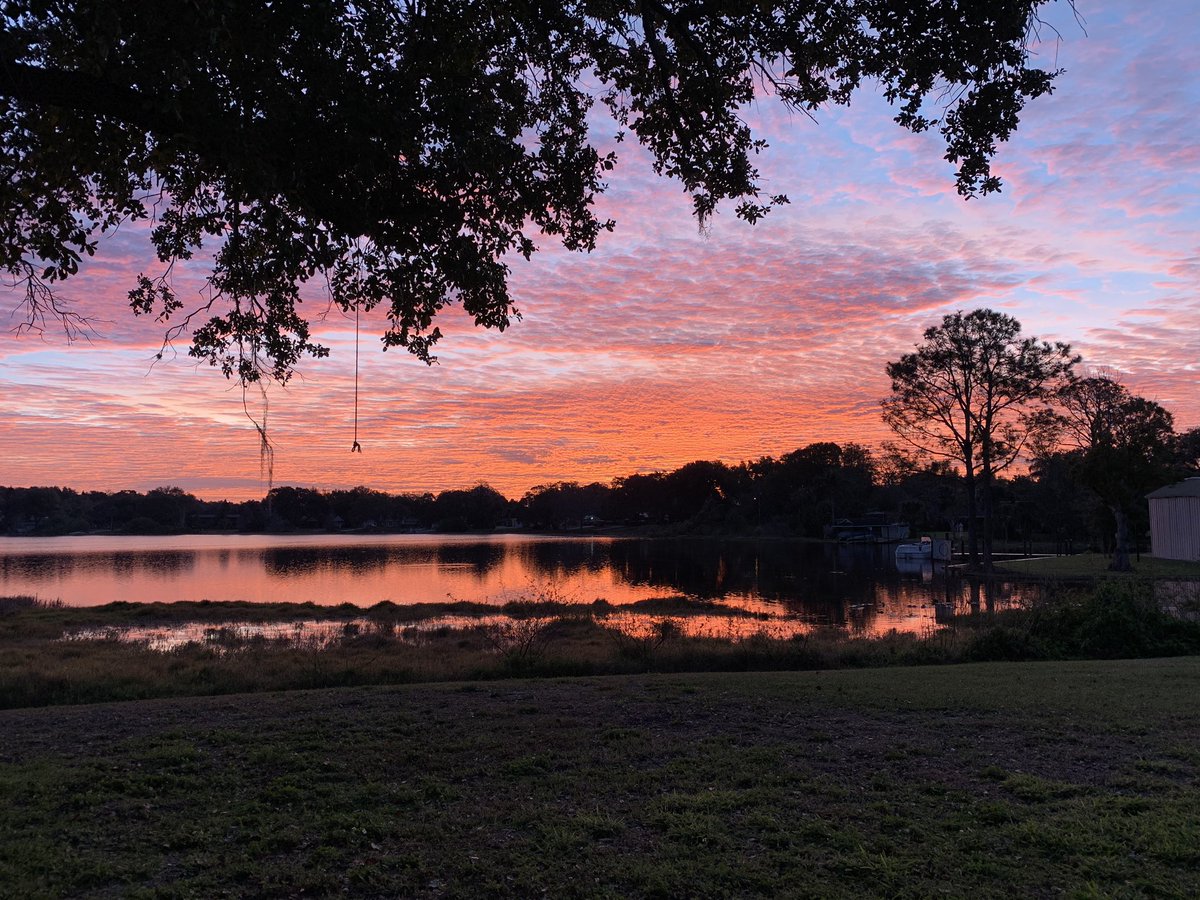 Beth Kulow tweet media