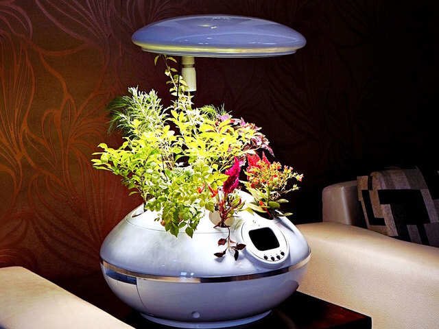 stpiindia's tweet photo. Intelligent soil-free smart garden solutions developed by @Agro2o_, an incubatee of #STPIESDMCoE @electropreneur, leveraging #IoT will disrupt the hydroponics market segment, enabling people access to affordable &amp; nutritious food focused on sustainability.https://t.co/ooEFcb3yM2 https://t.co/ChVu2UPVB1