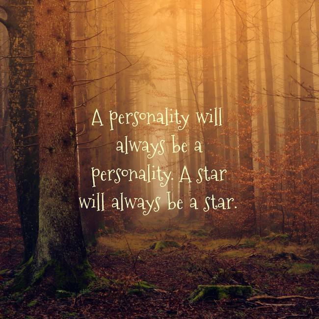 Dwiki Putrandityo tweet media