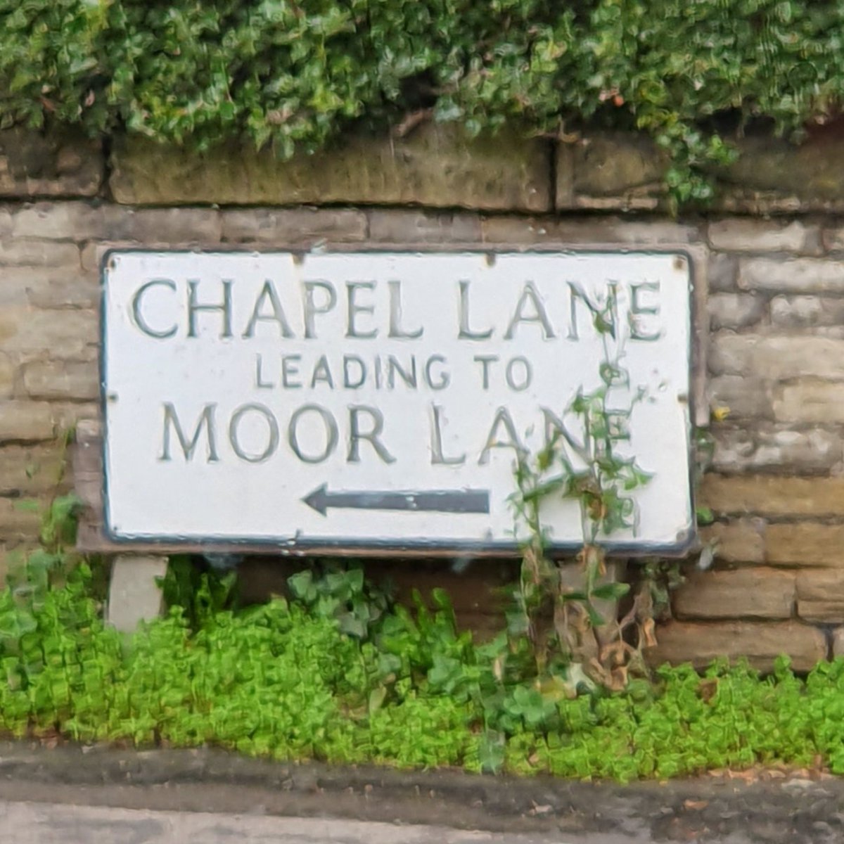 Julie Dawn Potts tweet media