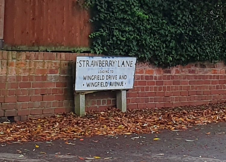 Julie Dawn Potts tweet media