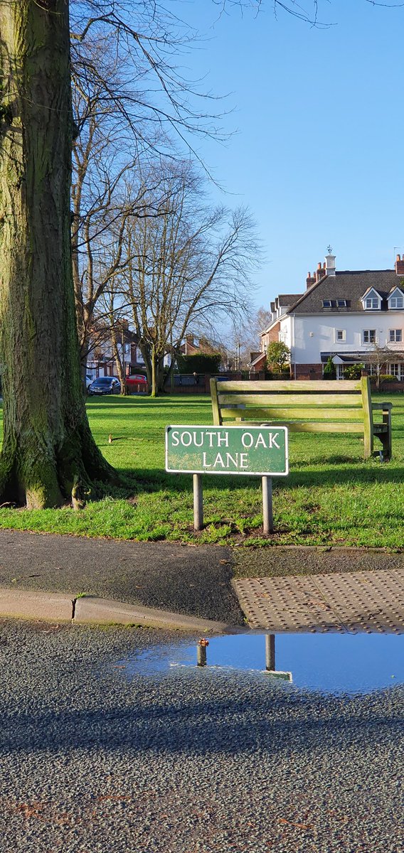 Julie Dawn Potts tweet media