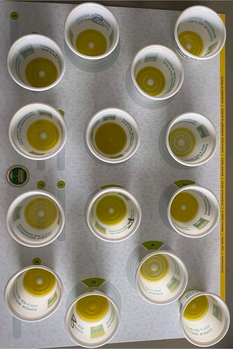 CCIAARIVLIG's tweet photo. Olio ligure prodotto unico. Dal 24-26 gennaio giorni dedicati all'olio, la cultura e all'olivicoltura : Meeting #ONAOO2020 🥄A #Genova il summit #assaggiatori d’olio incontri sulla cultura dell’olio d'oliva e del territorio #LamiaLiguria ➡️ https://t.co/Rgp2IZ2H3e @ONAOO_Imperia https://t.co/gRM84peFbT