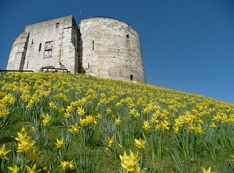 capney's tweet photo. Did you forget to get a #souvenir on your #visit to #York ? I have a few suggestions via my website. #YorkRT  Please pay me a visit and check out the great products from #Lens2Print   https://t.co/0wHn8ndgVM https://t.co/RakAhsgql4