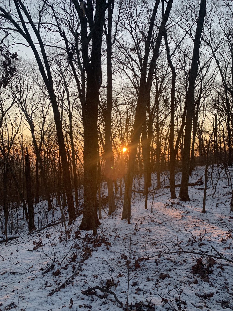 MoveLiveLearn's tweet image. Good morning! #RunningWithFriends  #TrailRunning