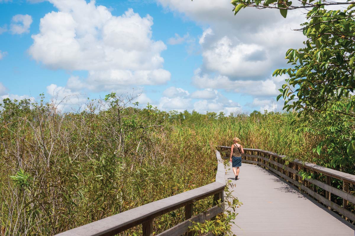 HealthyFla's tweet photo. #WalkInAPark every day and breathe in the Florida air! #FloridaStateParks #HealthyResolution #60daysFLHealth https://t.co/ewiAVov29d