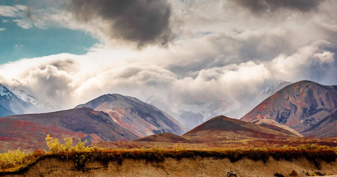 DenaliPhotoTour's tweet photo. Capture the Majesty of #Alaska on our instructional photography tour. Use LANDSCAPE10 to take 10% off
#learnphotography #alaskacruise #photoguide #sharingalaska #landscapephotography #naturephotography #alaskarange #travel #landscape_captures #TravelAlaska #TripToAlaska https://t.co/kxXo1B2a4h