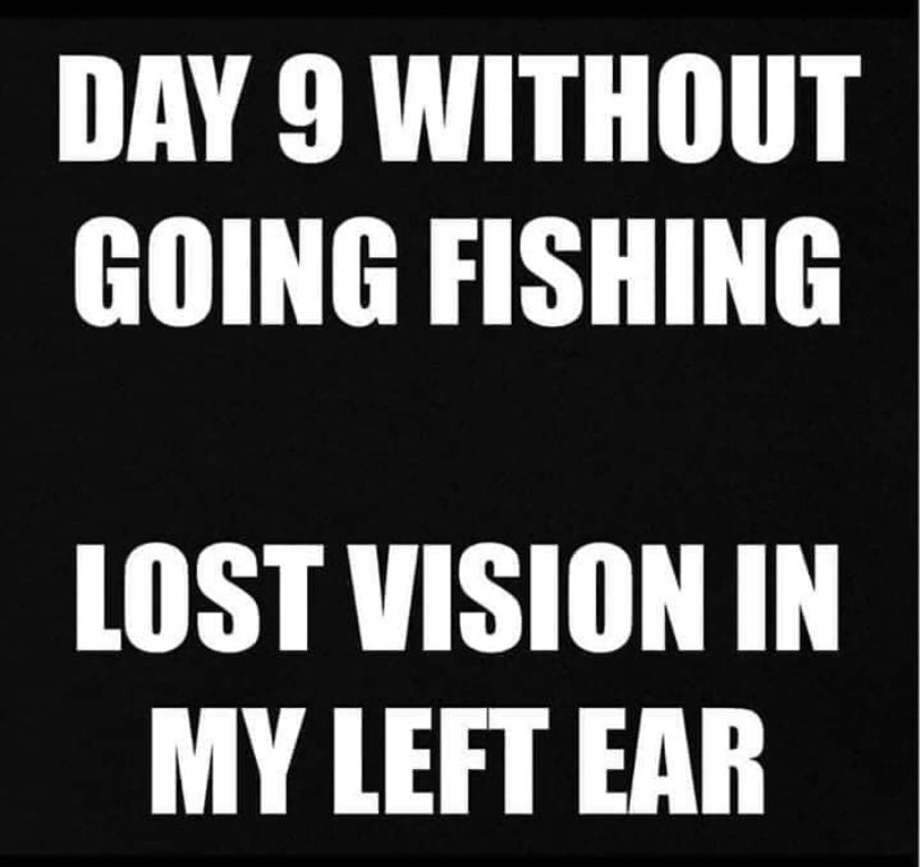 Ryan Kowalewski tweet media