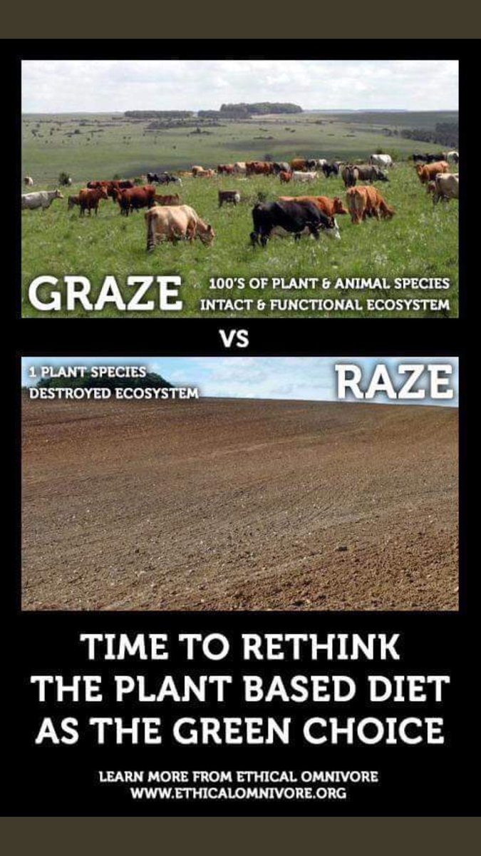 gpse7en's tweet image. Climate hysteria/greenwashing: 1) eradicate farming, real food &amp;amp; go vegan, 2) future of laboratory meat &amp;amp; intensive plant based commercial factory farms, 3) ignore fossil fuel growth, aided by renewables created from...fossil fuels. #moneyracket #Sham #misguided @GeorgeMonbiot