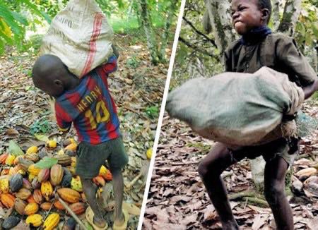 mouloud707's tweet image. NUTELLA 

 l’enfant exploité au con-sommateur lobotomisé ! Et je vous passe les photos de singes, tigres et autres éléphants massacrés pour la culture irraisonnée de l’huile de palme #Besides deforestation and palm oil , besides pushing 🦧to the brink of extinction, kids #slaves#