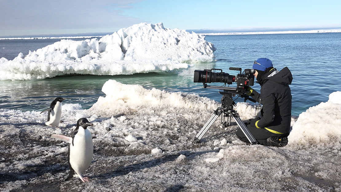 Sophie Darlington filming penguins in the snow. 