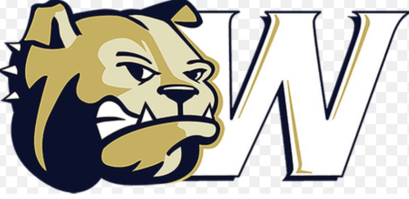 Cole Shehan tweet media