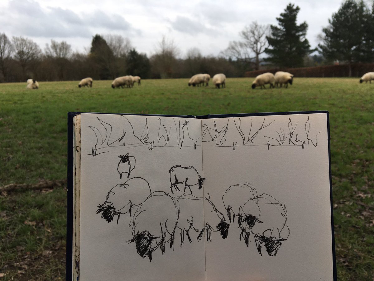 Kilifiqs's tweet photo. Getting quite close on my walk today #thedailysketch #sheep #sheepsketching #sketchjanuary https://t.co/I9Zhrb6oRa