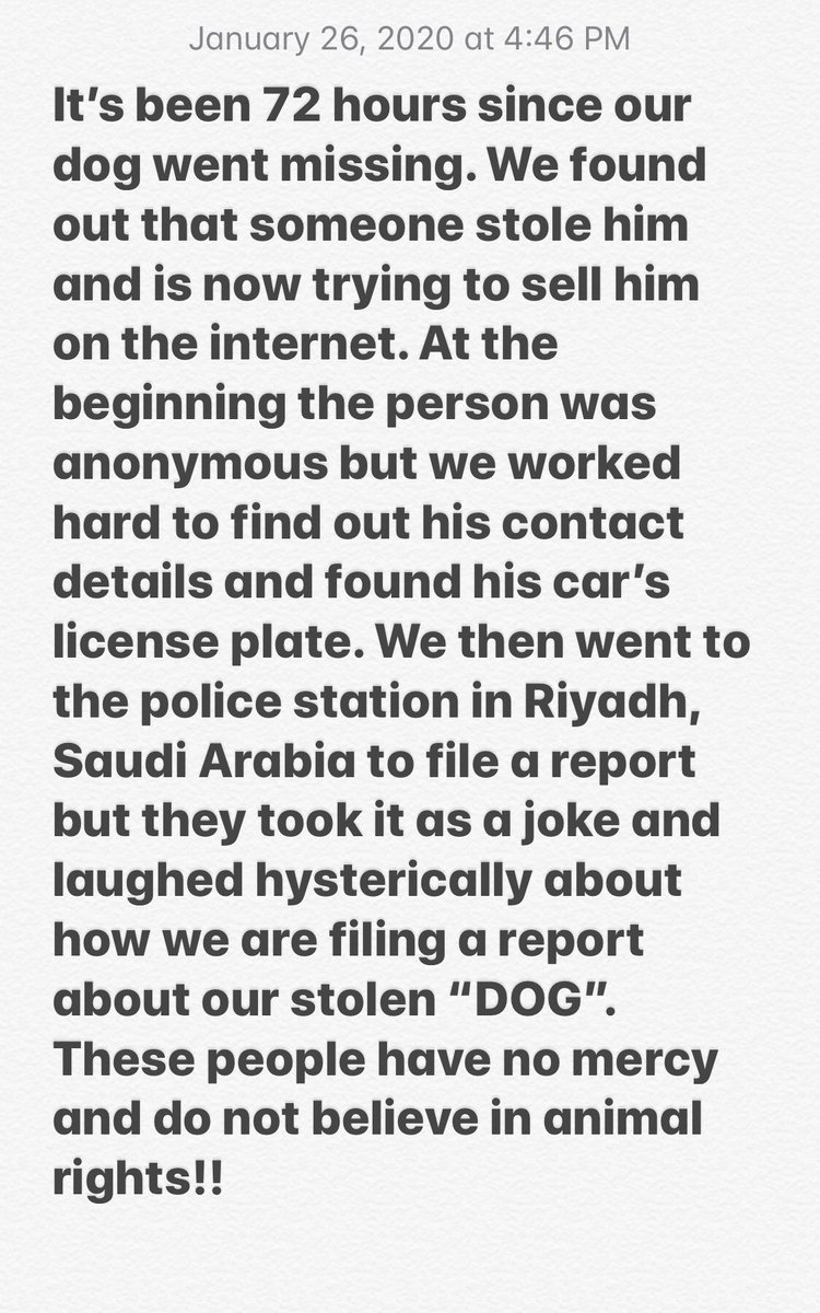 itsfarahcruz's tweet photo. We are desperate to find our dog and need help from higher officials to catch these criminals and give them the punishement they deserve @USAinKSA @KSAmofaEN #SaudiArabia @MojKsa_EN #riyadh https://t.co/BBWaZy0V1Z