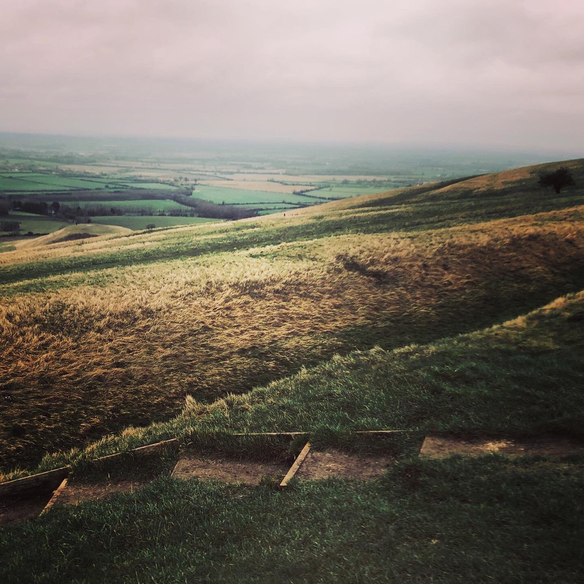 jessicariddyHT's tweet photo. Uffington Castle and White Horse Hill today for #daytwentysix of #REDJanuary2020 
#jessiescastlechallenge #number56 #uffingtoncastle #whitehorsehill # https://t.co/ljjbwi3Y5c