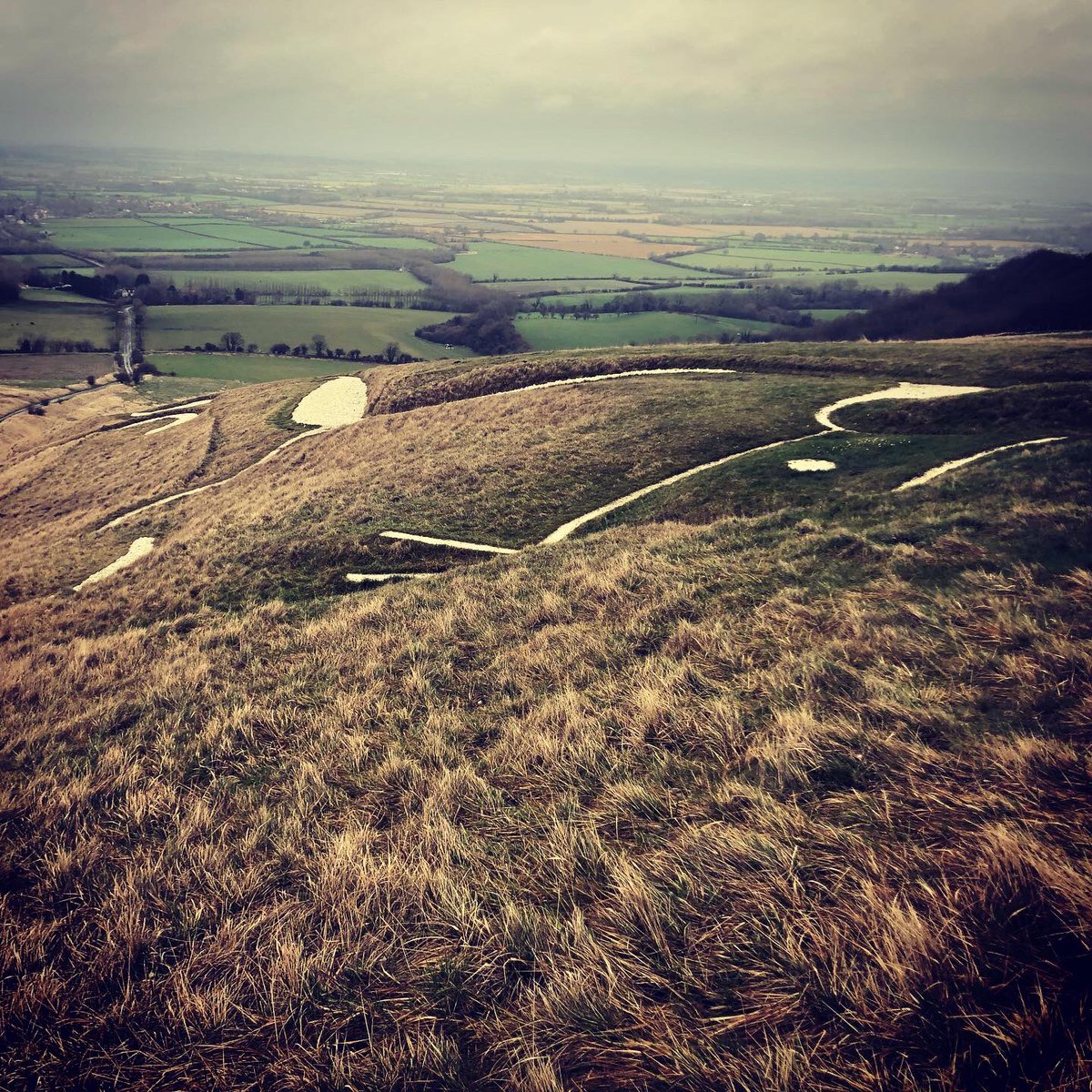 jessicariddyHT's tweet photo. Uffington Castle and White Horse Hill today for #daytwentysix of #REDJanuary2020 
#jessiescastlechallenge #number56 #uffingtoncastle #whitehorsehill # https://t.co/ljjbwi3Y5c