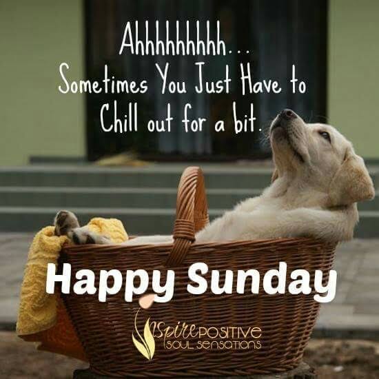MaddyBlu282518's tweet photo. @rollbarann @CrusadeAtheist @BingBongBingBi1 @GeorgeTheLib @Tmcguire_pa @dianemariereid Good morning everyone, have an awesome Sunday🌹💙
#LRRM oh my my... Love this song💖🌻 https://t.co/aDmmkjEN93