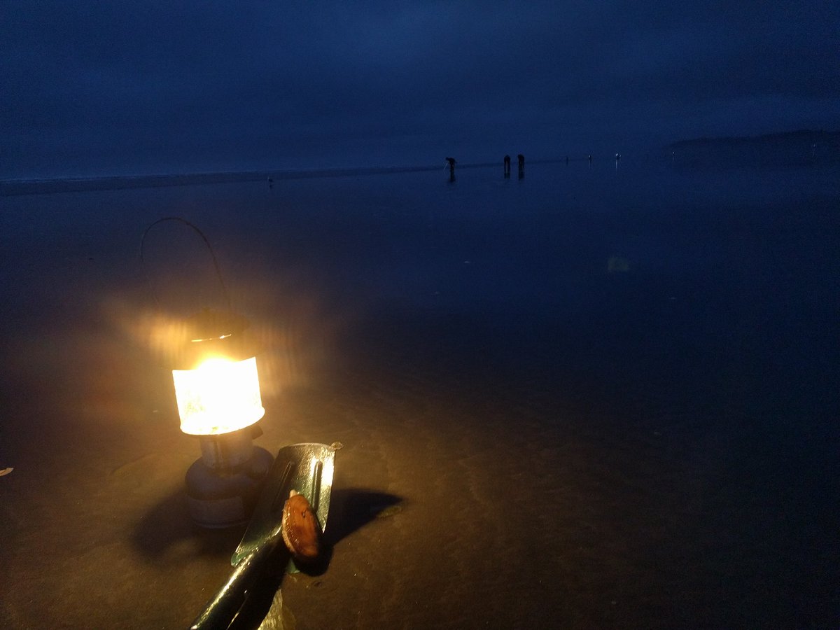Copalis_Beach's tweet photo. #CopalisBeach #TeamClamShovel #RazorClams #razorclamming #nature #WashingtonCoast #PNW #razorclamsociety https://t.co/7ooIjGs4gB