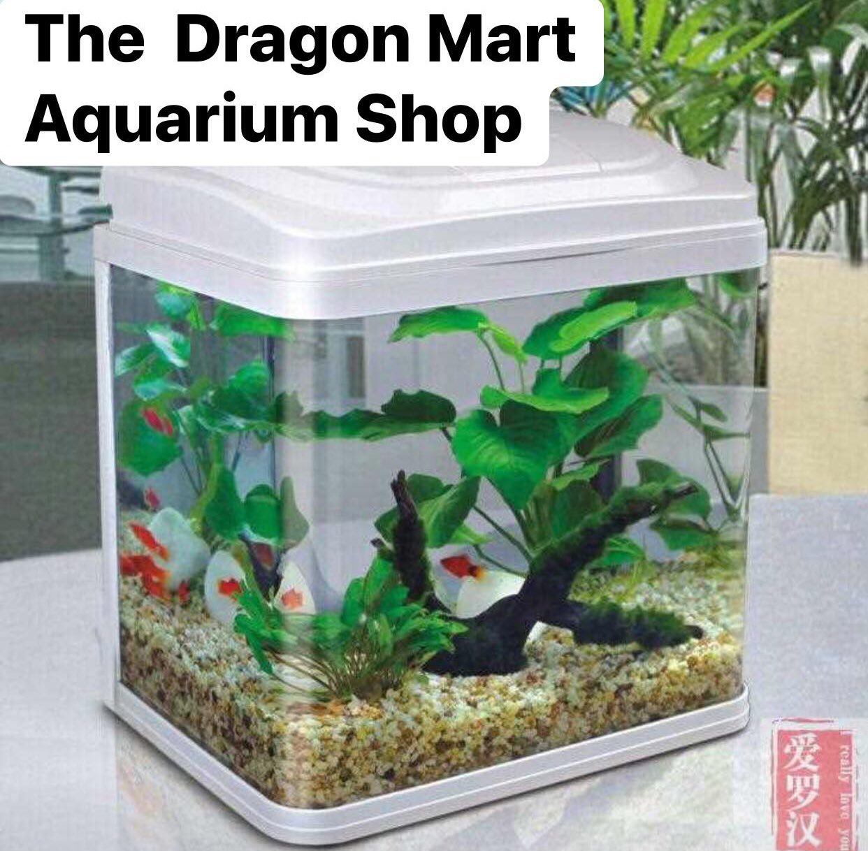 dragon mart aquarium shops