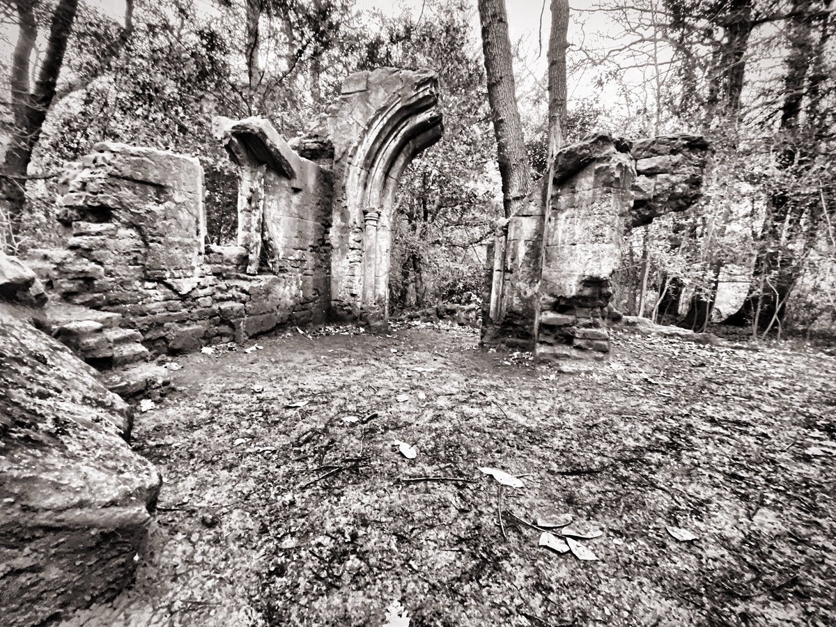 Ruins in Sydenham Hill Wood. #sydenhamhillwood #desertedlondon #ruin