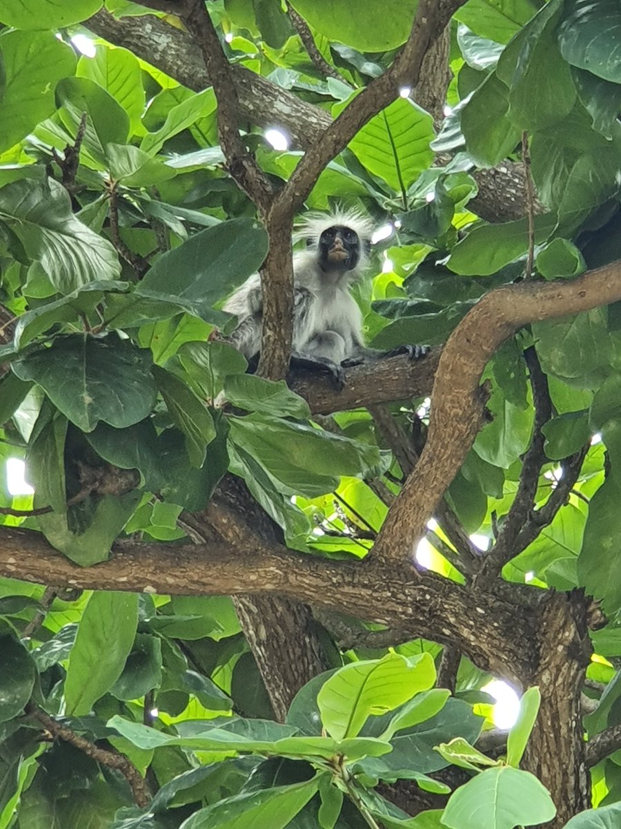 Carole Delavault tweet media