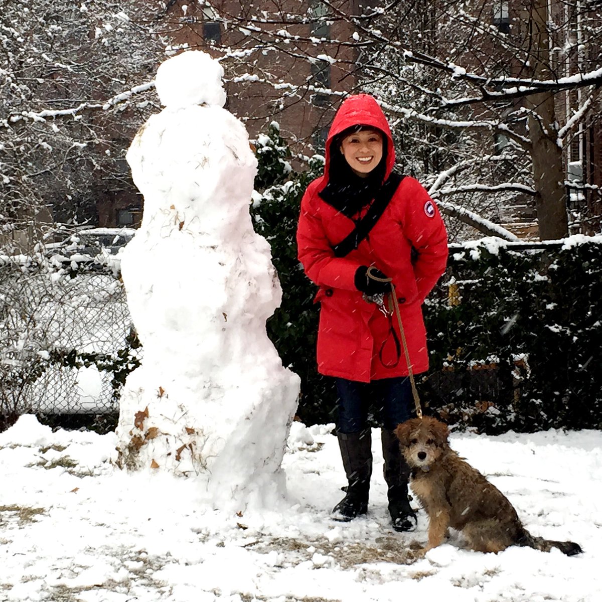 susantran's tweet photo. The next day 1/24/15... A #WinterWonderland. It was novel. #Boston #Winter2015. https://t.co/yeMlVHMi54
