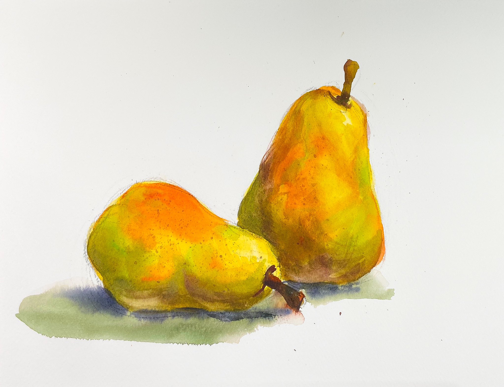 Watercolor by Shibasaki🎨柴崎春通 on X: 