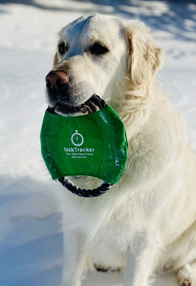 ASBtasktracker's tweet image. Want more time with your best friend?  Stop by our booth 1244 to streamline your operation.   Trust us, he will definitely thank you. 

#tasktracker #digitaljobboard #GIS2020 @FAIRWAYiQ @GCSAA_GIS